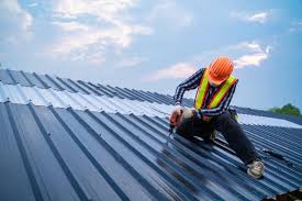 Professional Roofing Service  in Lake Panasoffkee, FL